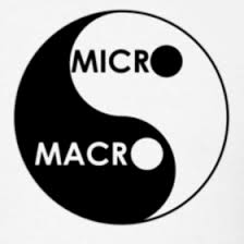 La macroéconomie a-t-elle besoin de micro-fondations ?